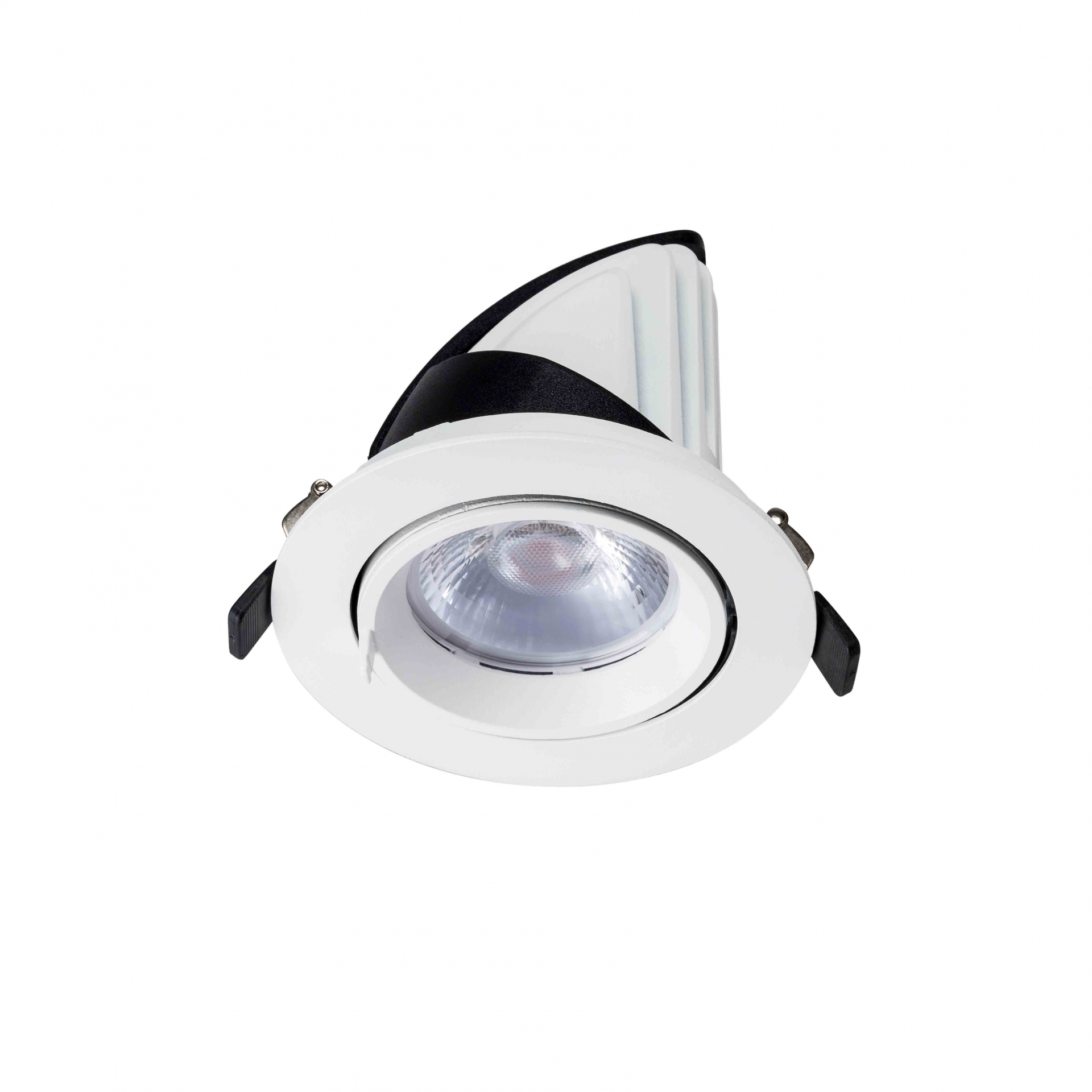 LED DOWNLIGHT KANTELBAAR 24W -4652