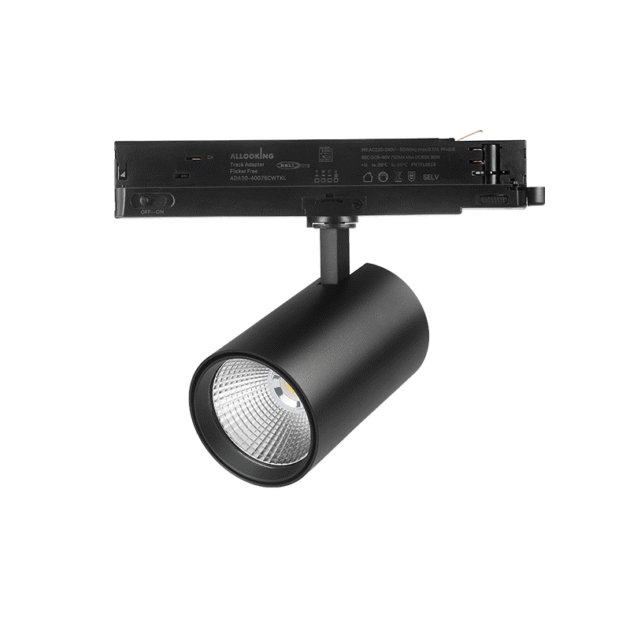 DALI 3-FASE RAILSPOT | ROSALIN | 10W-20W-30W | ZWART | DIMBAAR | CCT