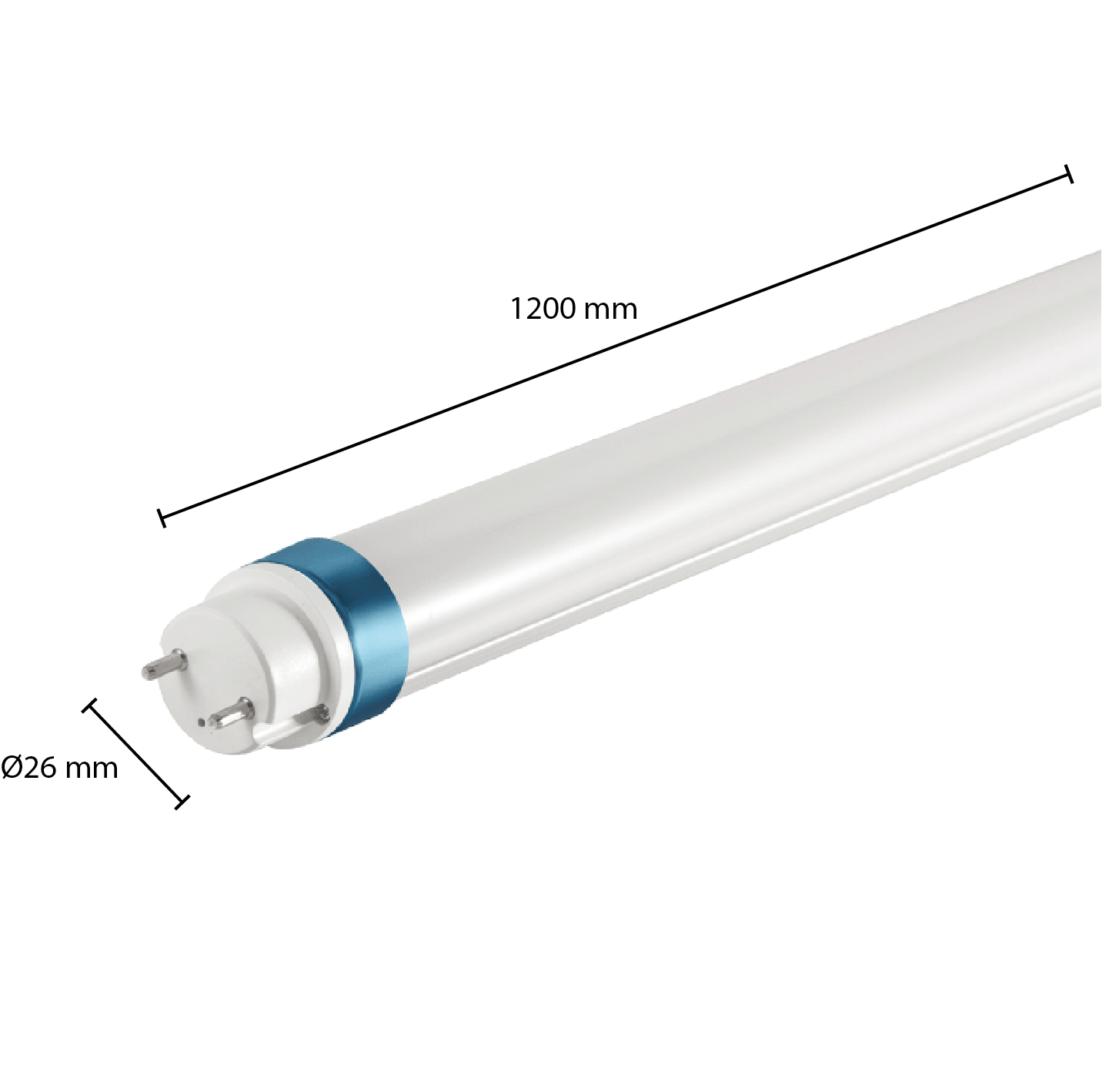 LED T5 BUIS | 115CM | ELEKTRONISCHE BALLAST + AC DIRECT 2-zijdig | 18W - Afbeelding 3